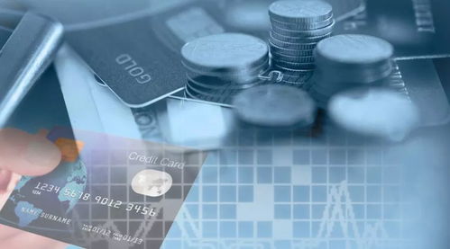 暴雨跑偏周口受災嚴重，今起經濟信息咨詢免費助力重建